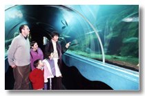 Dingle Oceanworld Aquarium Image