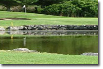 Shannon Golf Club Image