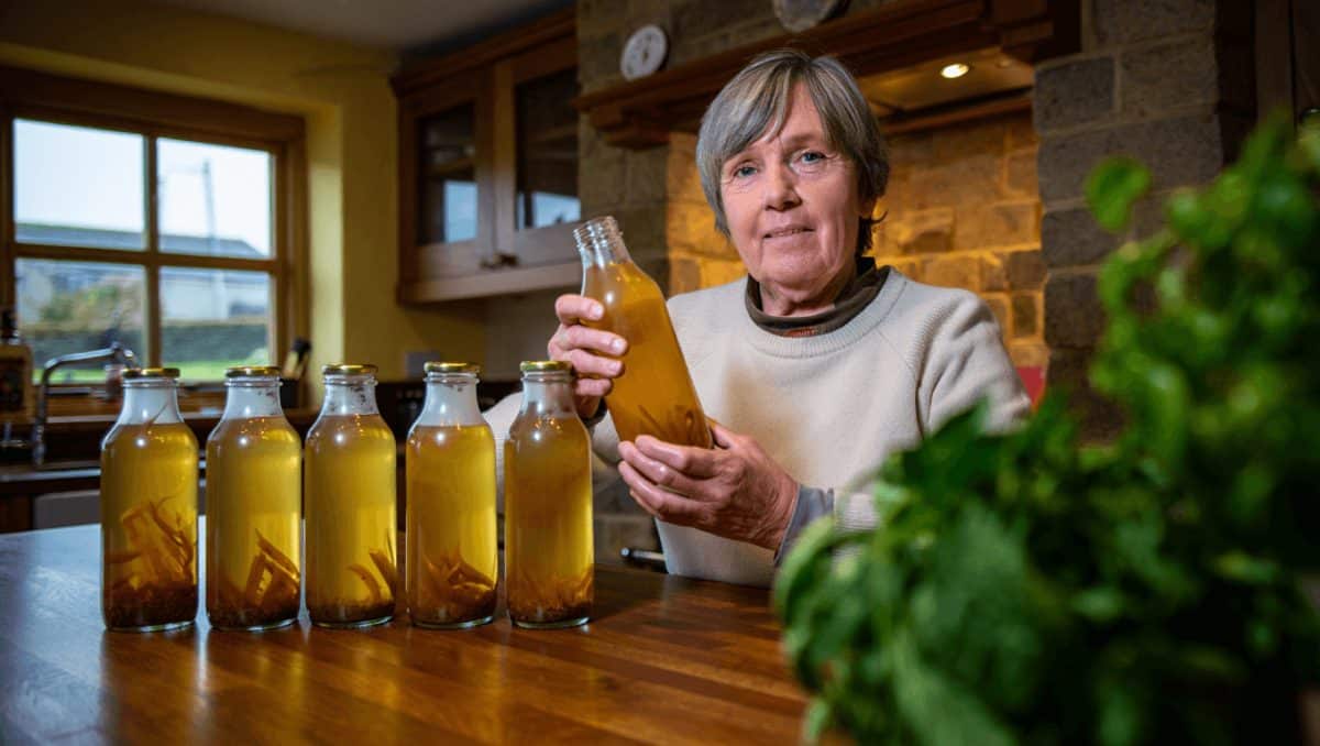'It started as a way to heal my own gut' Meet Marianne O'Donnell of Kombucha Na Dálaigh