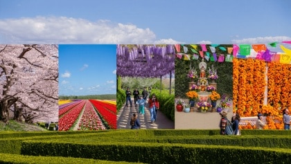 6 garden and flower festivals to explore on your holidays