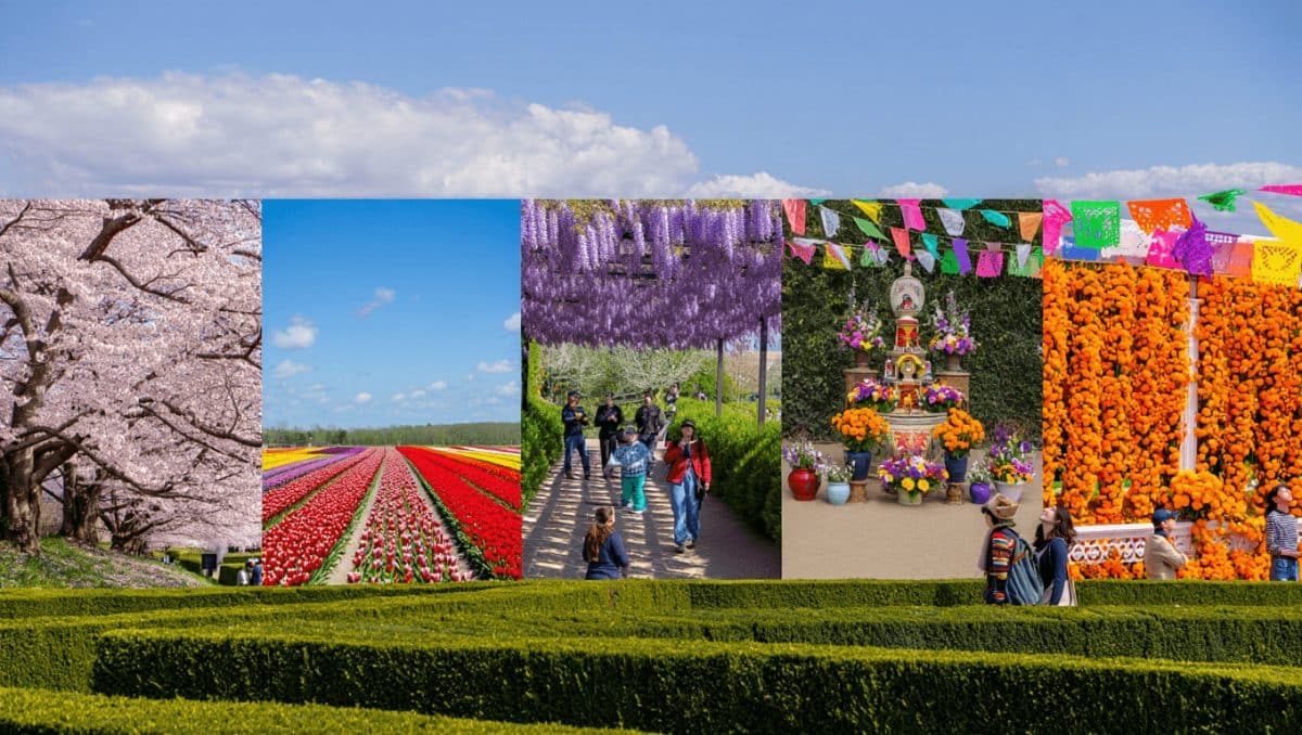6 garden and flower festivals to explore on your holidays