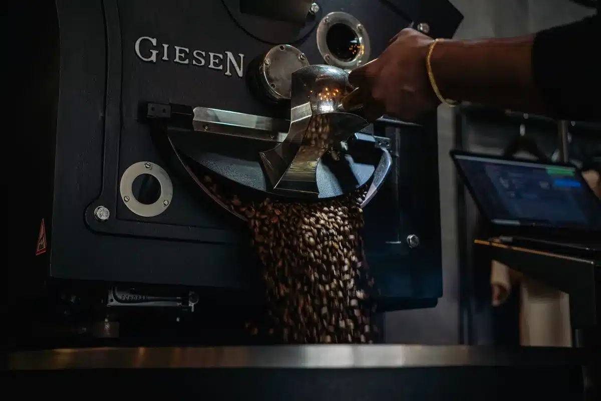 Freshly roasted coffee beans in a specialty roastery, highlighting the craft of local coffee production