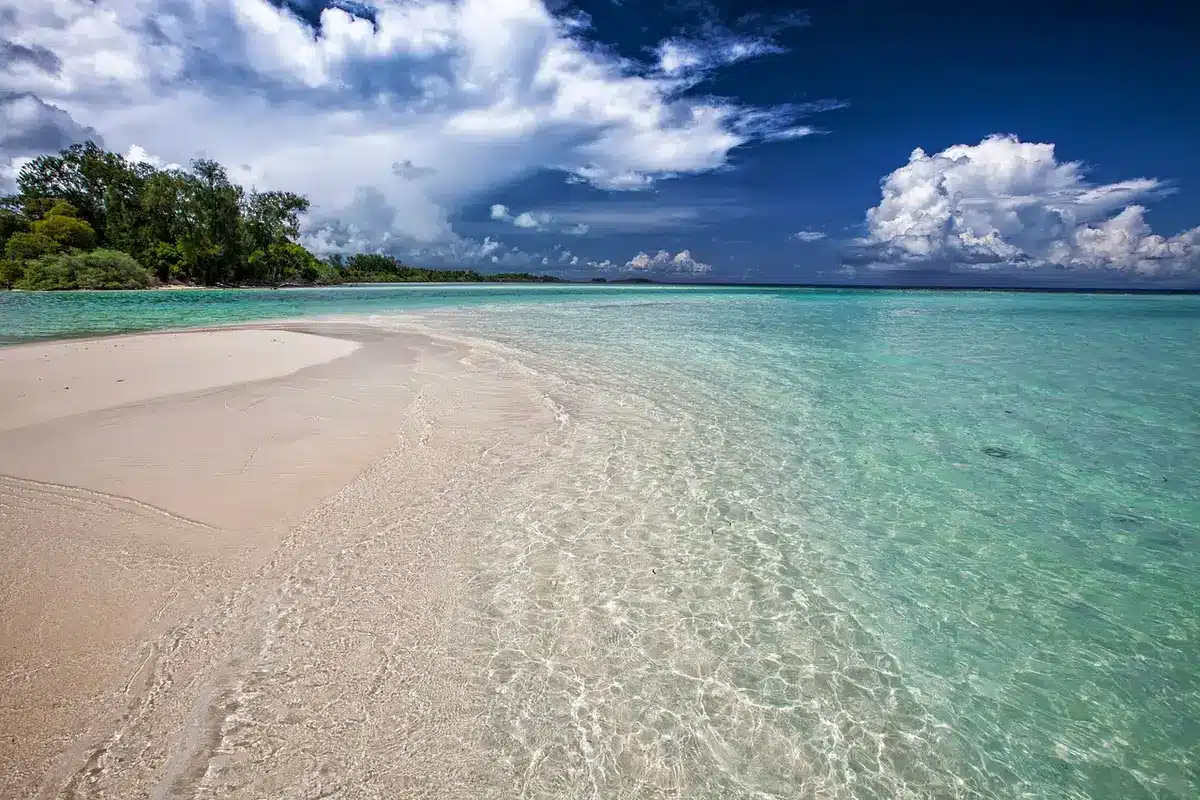 Panoramic view of a pristine pink-sand beach meeting turquoise Atlantic waters under clear skies