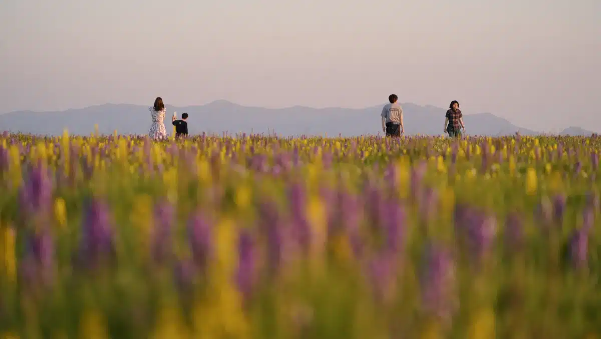 Five top wildflower spots to visit this spring and summer
