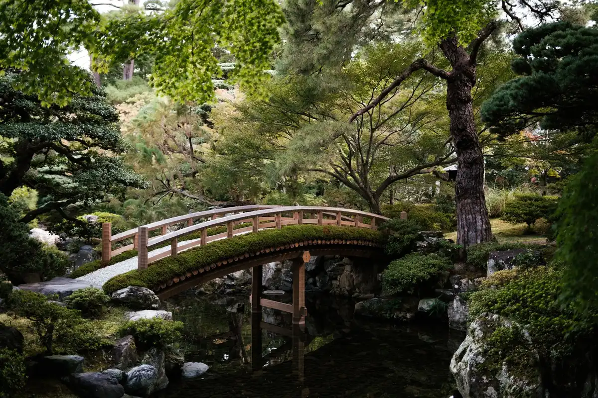 Serene Japanese garden with a pond, arched bridge and carefully manicured plants