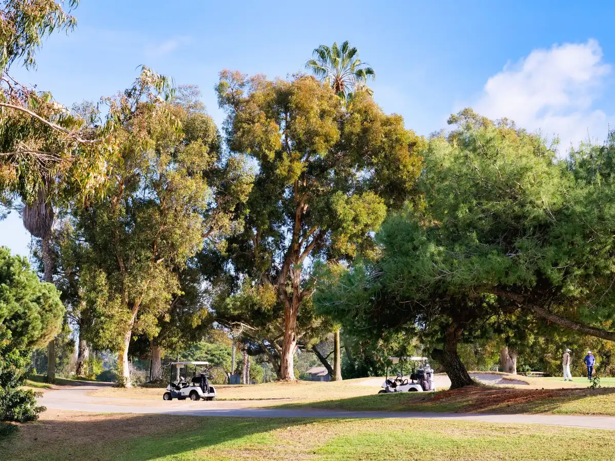 Driverless golf cart on a fairway with a mountain peak in the background