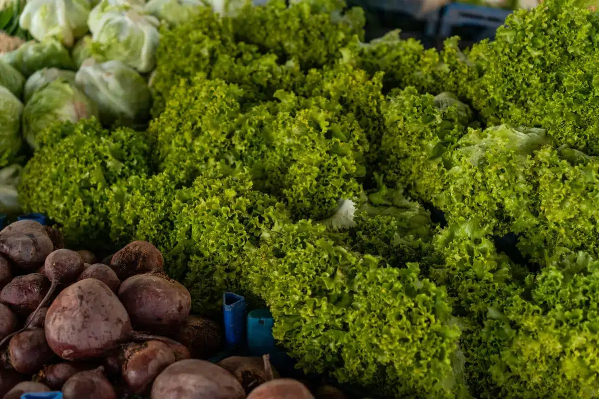 Selection of fresh Irish produce and quality ingredients displayed together