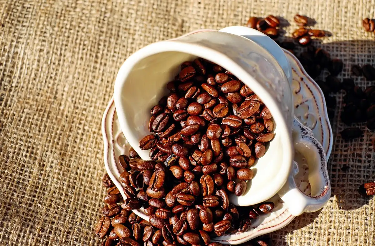 Hands using an espresso machine in a bright kitchen to prepare a milk-based coffee