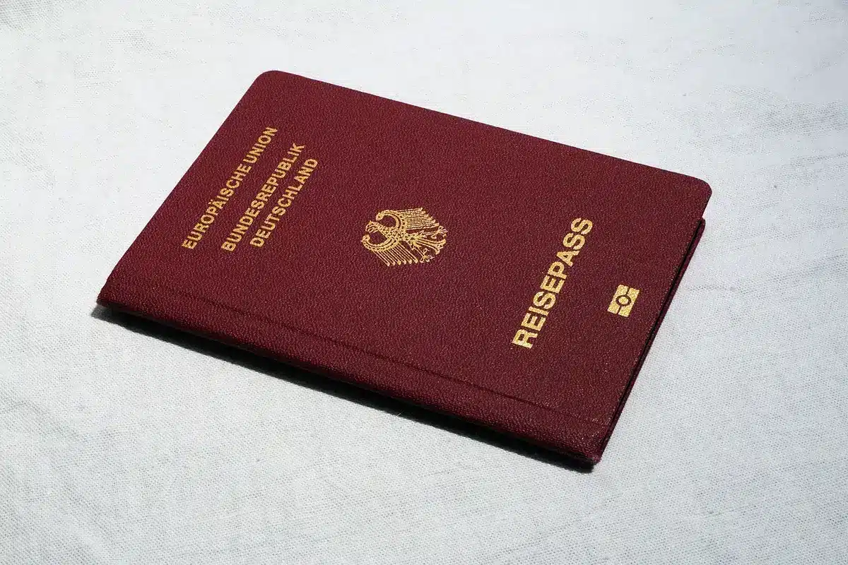 A EU pet passport document with rabies vaccination records and health information displayed.