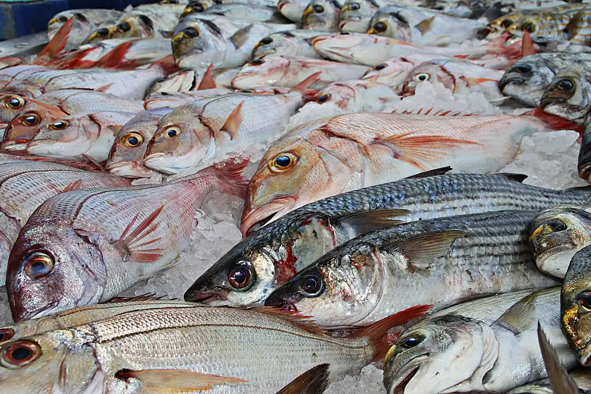 Fish market on Negombo beach with boats and vendors in daylight