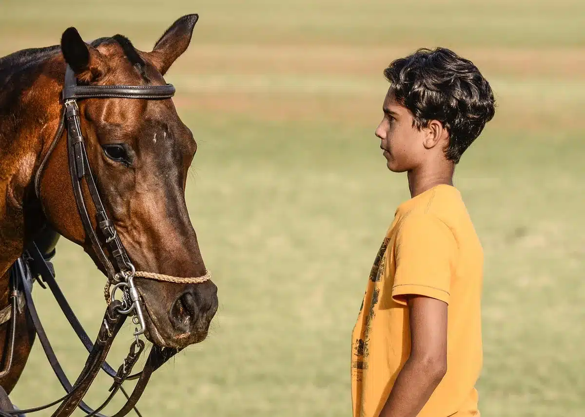 Match commentator at a polo match standing by the sideline with notes