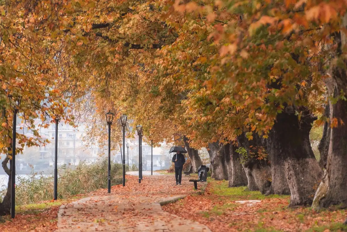 Path through a botanical garden with autumn colours and benches