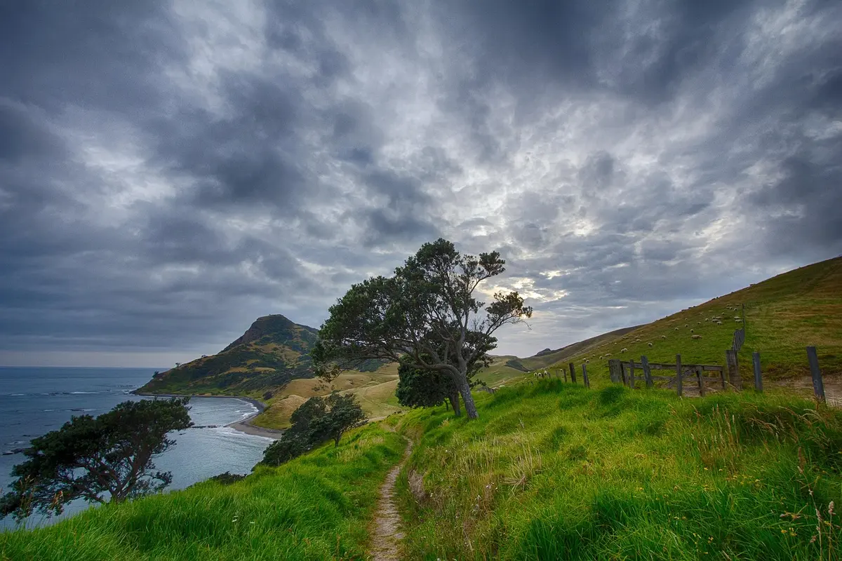 Wooden boardwalk across boggy upland with distant mountain views