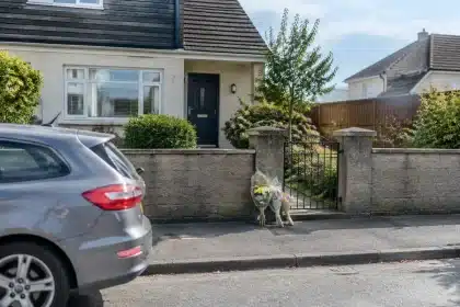 Funeral plans announced after Dublin gig death of Westlife fan